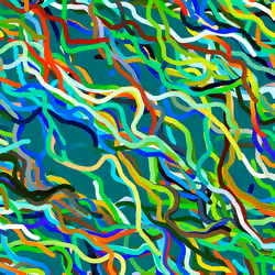 Lucid Paths #283