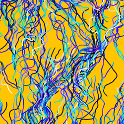 Lucid Paths #558