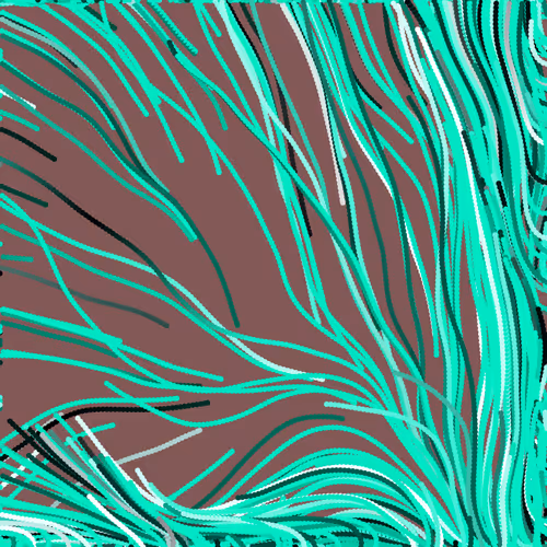 Lucid Paths #591