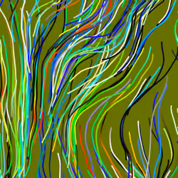 Lucid Paths #587