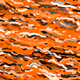 224