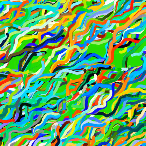 Lucid Paths