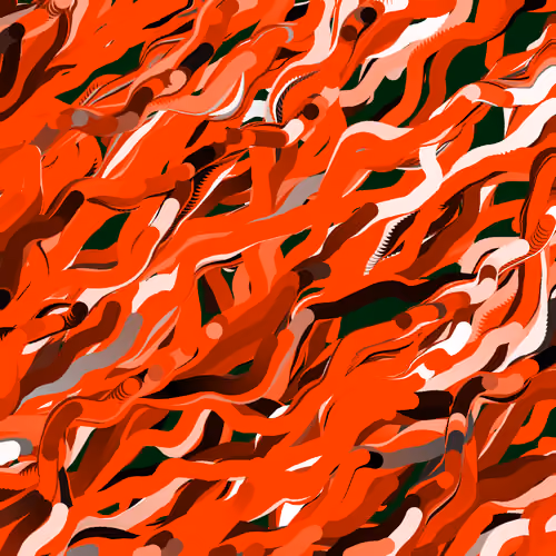 Lucid Paths #247