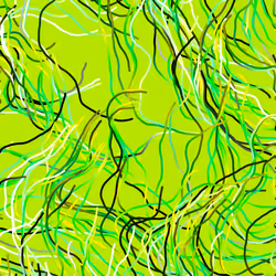 Lucid Paths #825