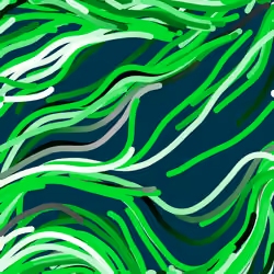 Lucid Paths #597