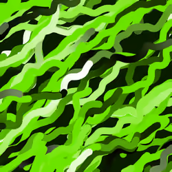 Lucid Paths #878