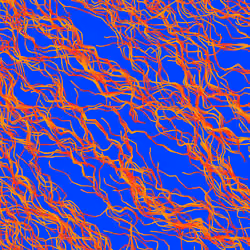 Lucid Paths #732