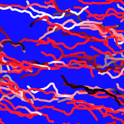 Lucid Paths #529