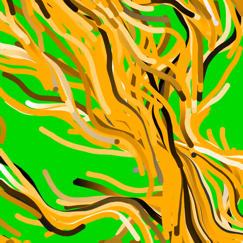Lucid Paths