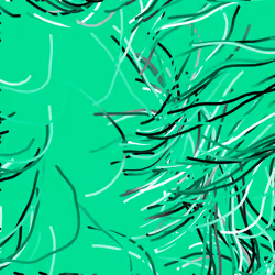 Lucid Paths #329