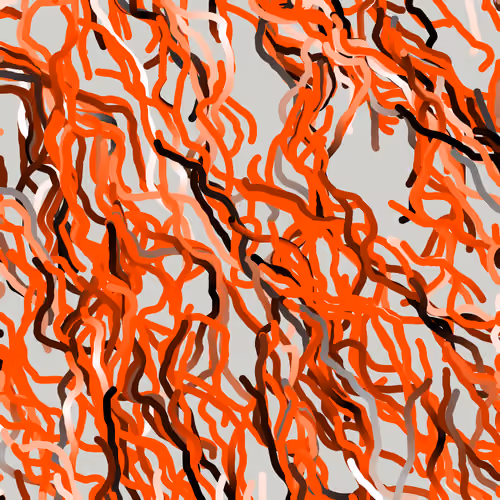 Lucid Paths #725