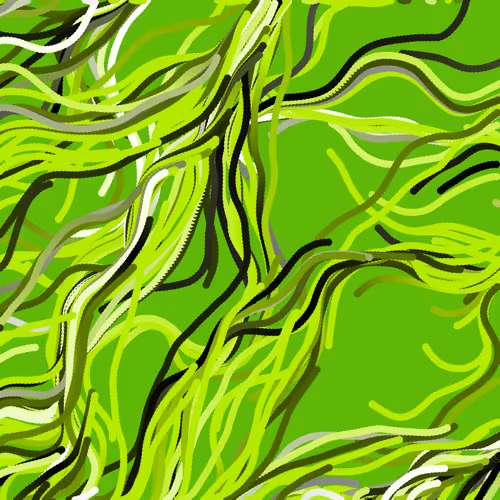 Lucid Paths
