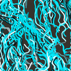 Lucid Paths #505