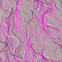 Lucid Paths #626