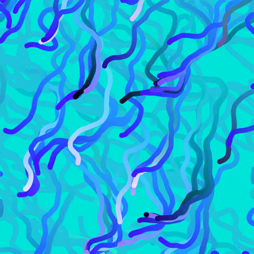 Lucid Paths #559