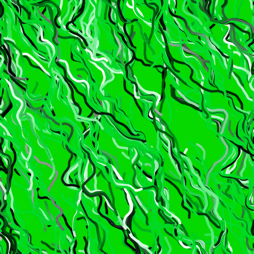 Lucid Paths