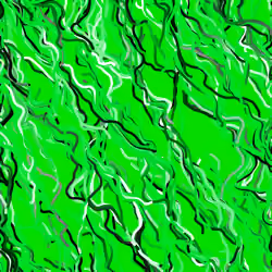 Lucid Paths #822