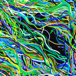 Lucid Paths #243