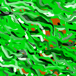 81