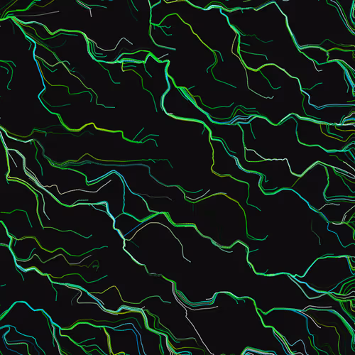 Lucid Paths #358
