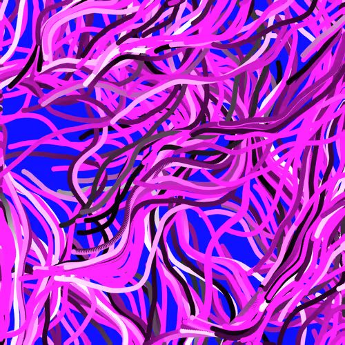Lucid Paths #313