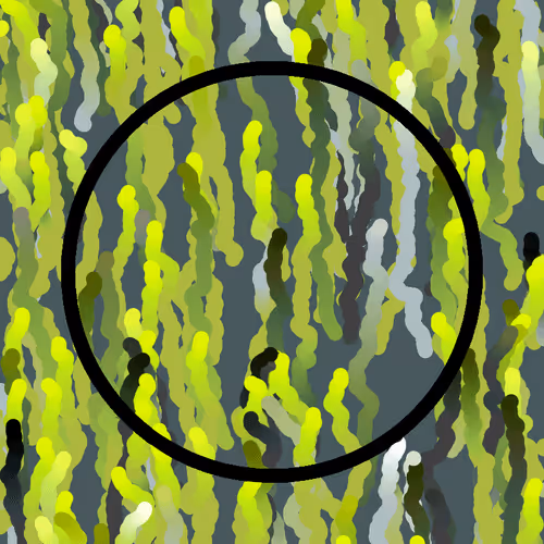 Lucid Paths #410