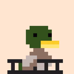 Lil Duckies #84