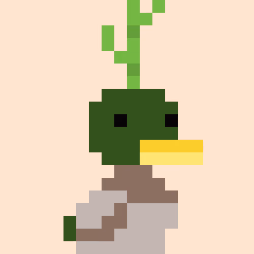 Lil Duckies #1617