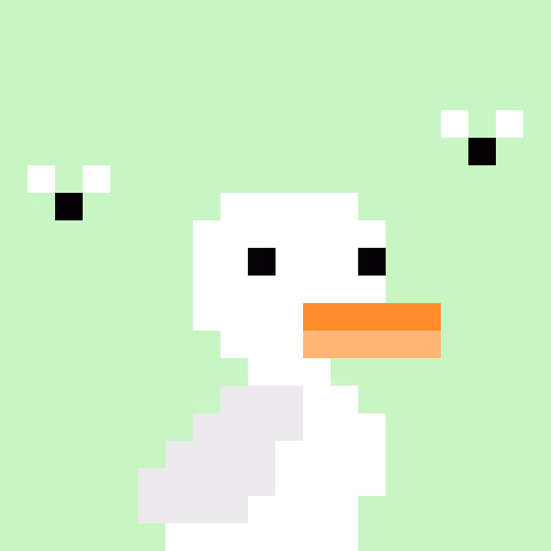 Lilduckies