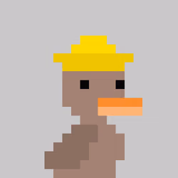Lil Duckies #1728