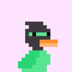 Lil Duckies #1344