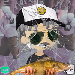 66