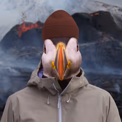 81