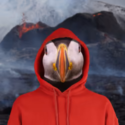 91