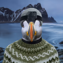 85