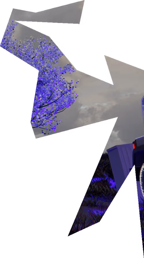 Item #30 Media