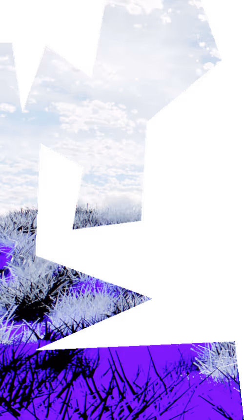 Item #7 Media