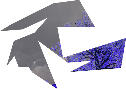 Item #31 Media