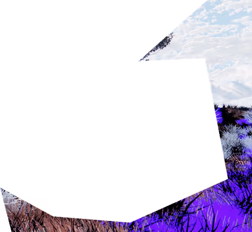 Item #8 Media