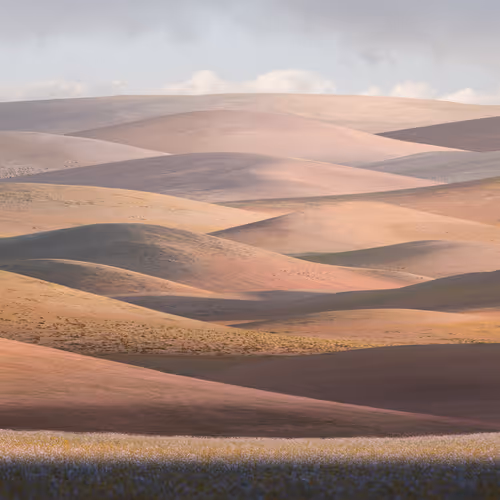 Benjamin Briones Grandi