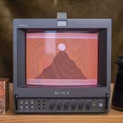101