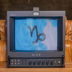 81