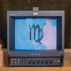 61
