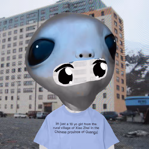 Moemoe Llc