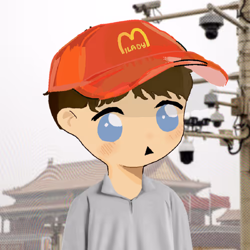 Moemoe Llc