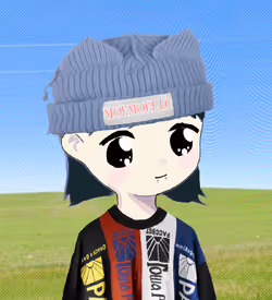 Item Media