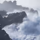 Fortitude