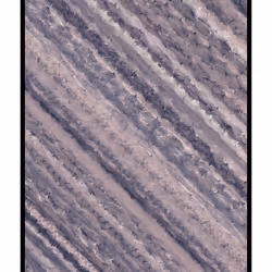 255