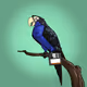 FraktalNFTProper Parrot Tree Club V3