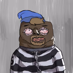 446